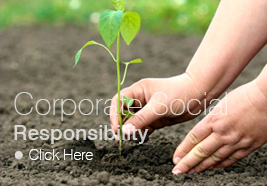 CSR Activities